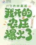 飞升回来后，我开的农庄爆火了