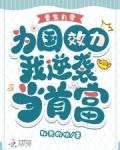 重生九零，为国效力我逆袭当首富