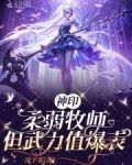神印：柔弱牧师，但武力值爆表