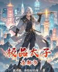 极品太子在都市