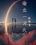 偷他一片天偷是什么意思