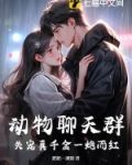 动物聊天背景图片