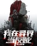 我在异界当反贼的等级