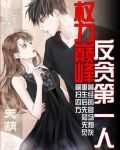 权力巅峰：反贪第一人