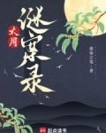 大周谜案录