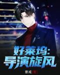 好莱坞：导演旋风