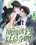 顶级诱钓！陆总夺吻跪求上位