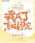 瓷碗通古今,我成了京城团宠的免费阅读