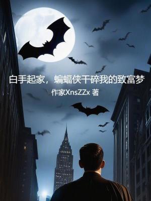白手起家,蝙蝠侠干碎我的致富梦免费笔趣阁