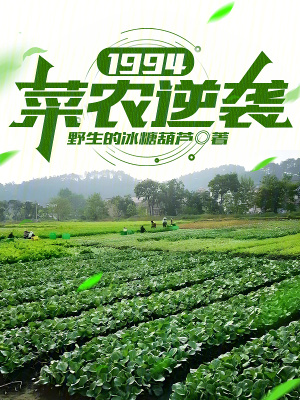 1994菜农逆袭全文免费阅读