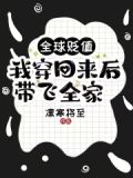 全球贬值,我穿回来后带飞全家!免费