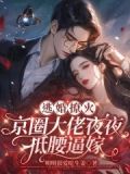 逃婚全文免费阅读