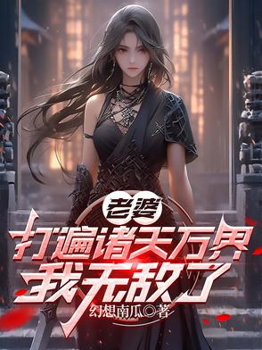 老婆打遍诸天万界,我无敌了小说