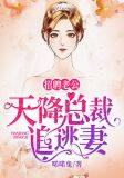 招聘老公：天降总裁追逃妻