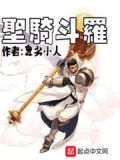 圣骑斗罗