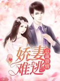 总裁猎情,娇妻难逃殷暖龙曦