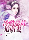 冷酷总裁追萌妻纪歌