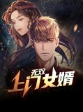 无双上门女婿岳风柳如嫣