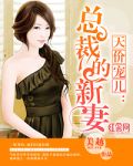 天价宠儿：霸道总裁宠妻记