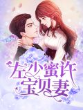 左少蜜许宝贝妻