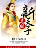 三国新天子