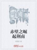 赤壁之崛起荆南